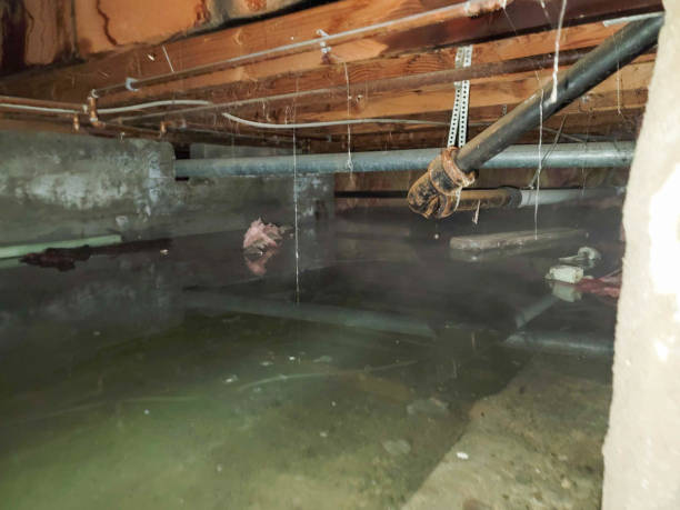 Best Flooded house restoration  in Poplar Grove, IL