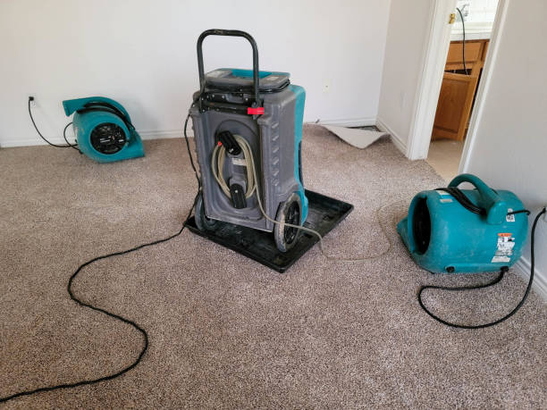 Best Water damage restoration near me  in Poplar Grove, IL