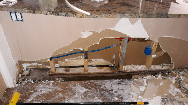 Best Carpet water damage restoration  in Poplar Grove, IL