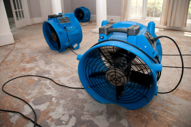 Best 24/7 water damage repair  in Poplar Grove, IL
