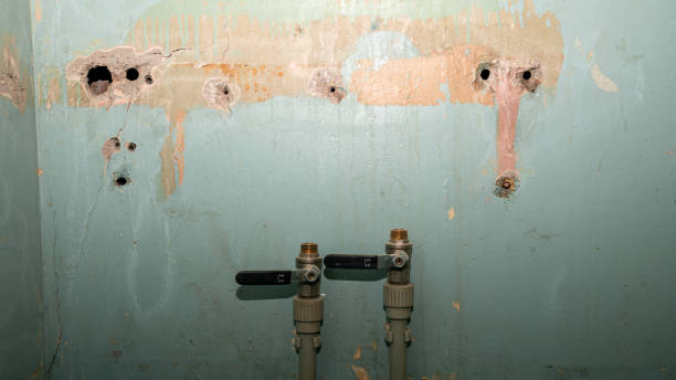 Best Water damage restoration company  in Poplar Grove, IL