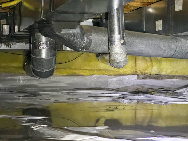 Best Ceiling water damage repair  in Poplar Grove, IL