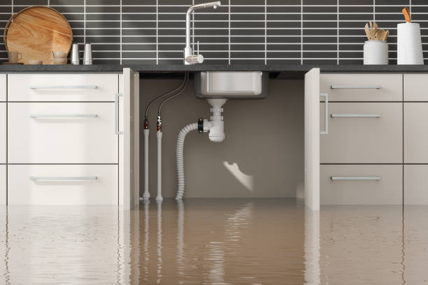 Best Water damage cleanup near me  in Poplar Grove, IL