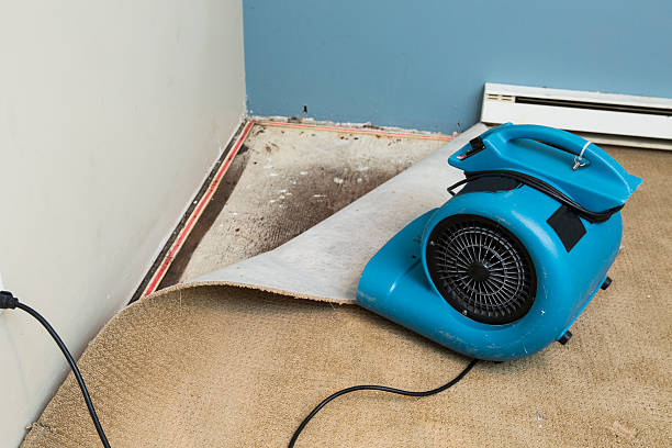 Best Local water damage restoration  in Poplar Grove, IL